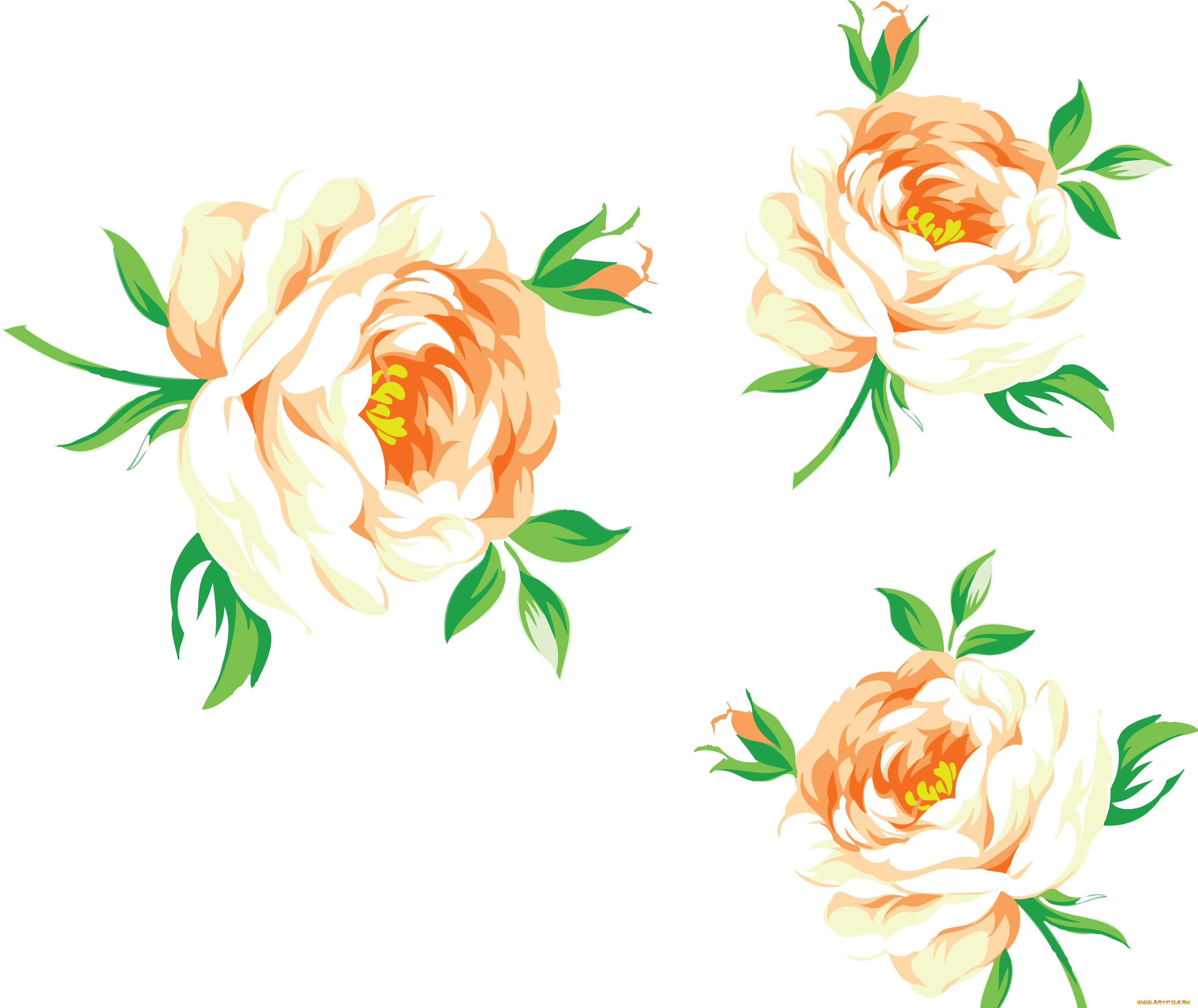  ,  , flowers, , , 